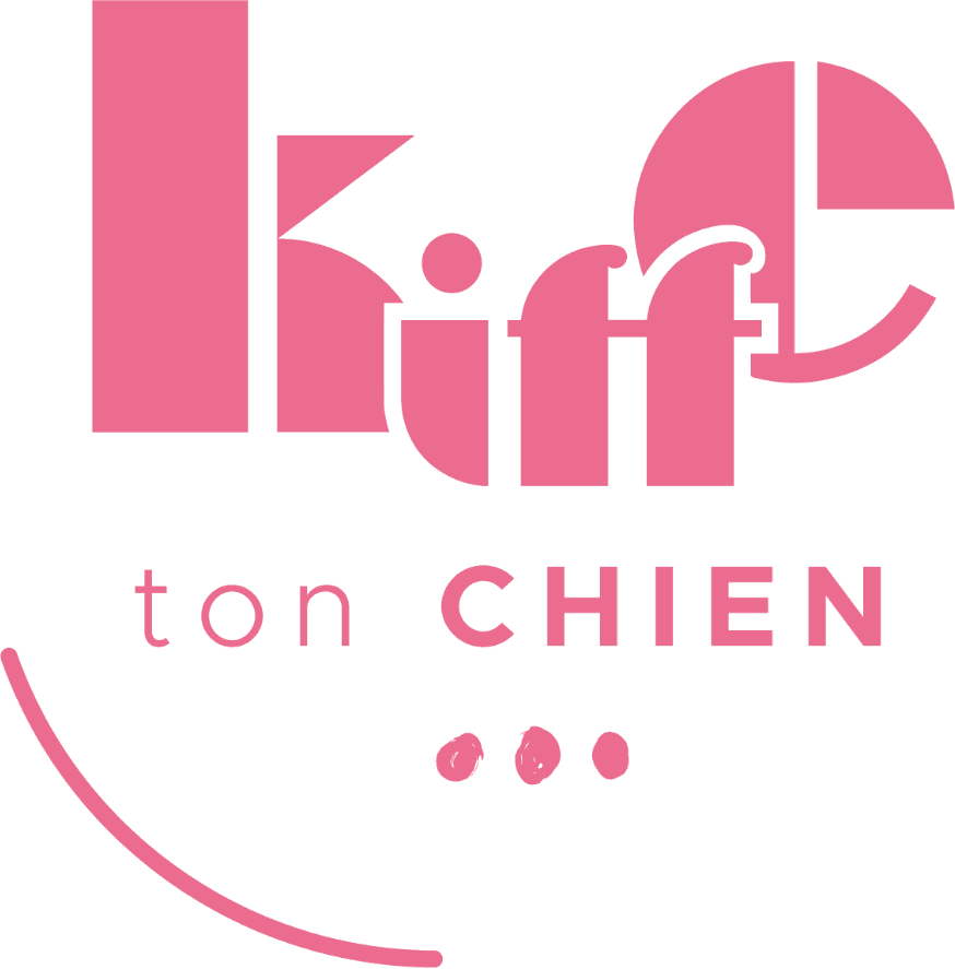 Logo de l'entreprise